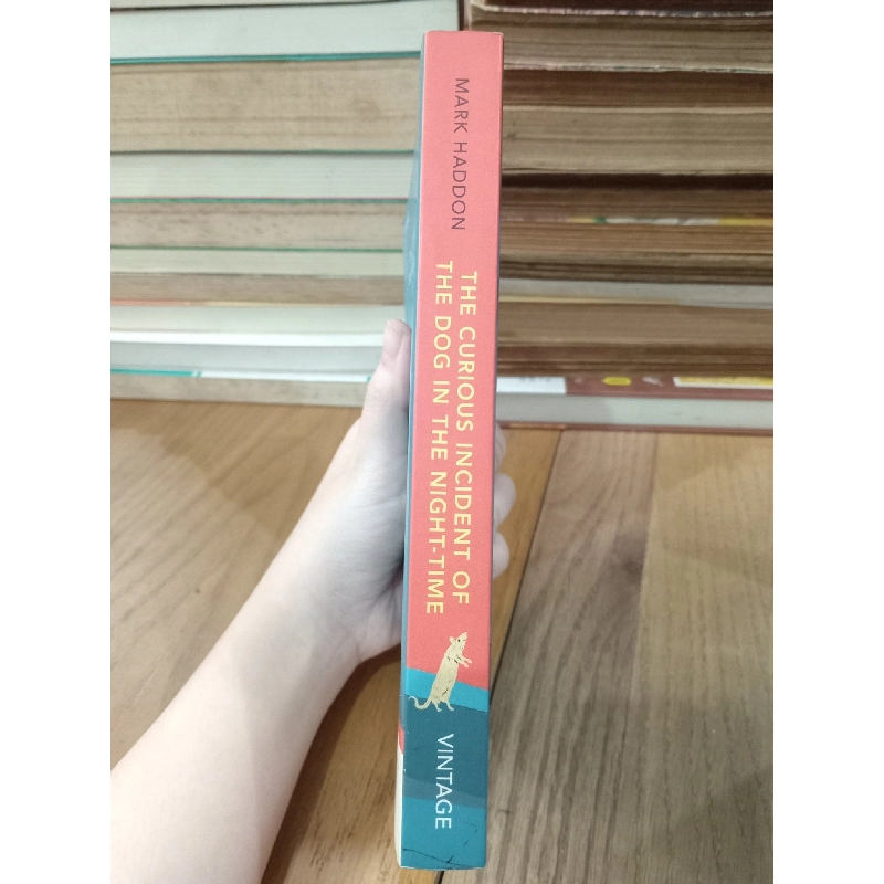 THE CURIOUS INCIDENT OF THE DOG IN THE NIGHT-TIME (VINTAGE CLASSICS) - MARK HADDON 140290