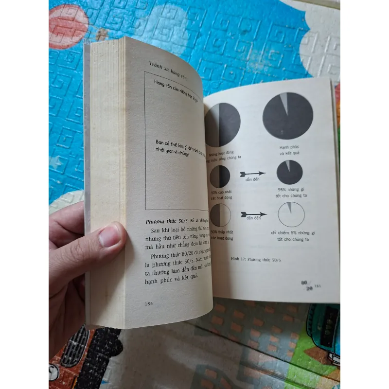 Sống Theo Phương Thức 80/20 994145