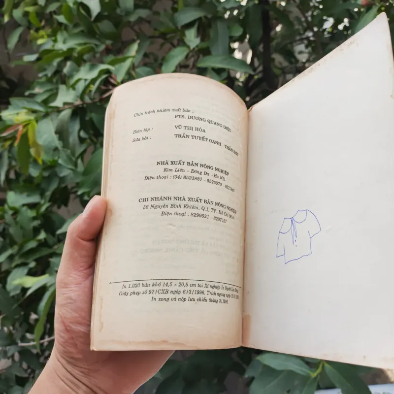 Bonsai Cây Kiểng Cổ - Trần Hợp 925345