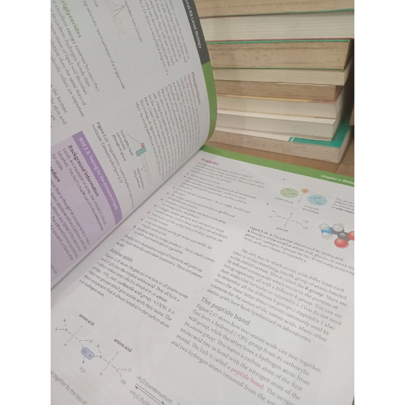 Cambridge International AS and A Level: Biology, Coursebook - Jones, Fosbery, Gregory, Taylor 957407