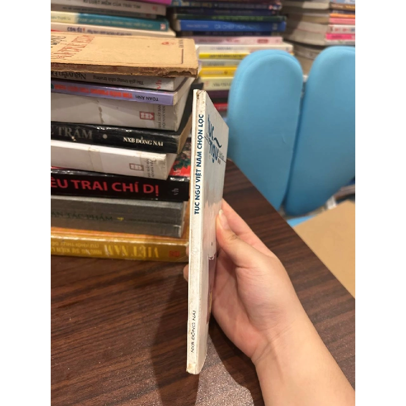 Tục Ngữ Chọn Lọc Việt Nam - Nhiều tác giả 1000699