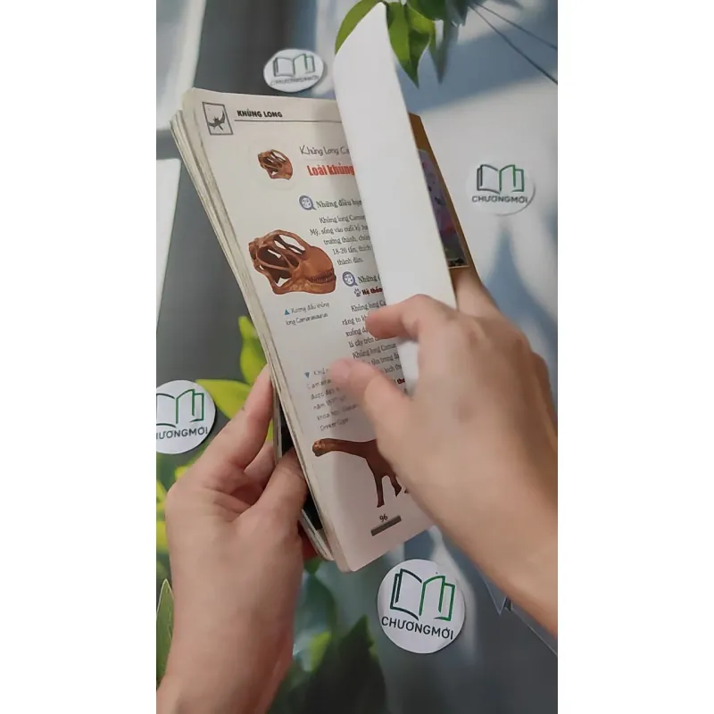 Khám phá bí ẩn thế giới tự nhiên: Khủng long 1018834