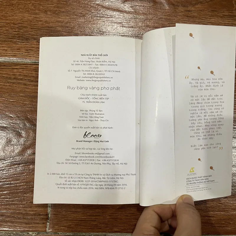 Ruy băng vàng phơ phất - Lax (15) 975797