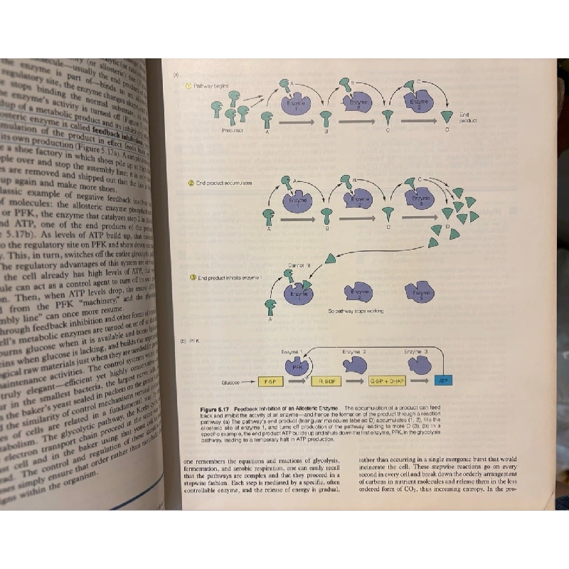 The Nature of Life - John H. Postlethwait & Janet L. Hopson 1003405