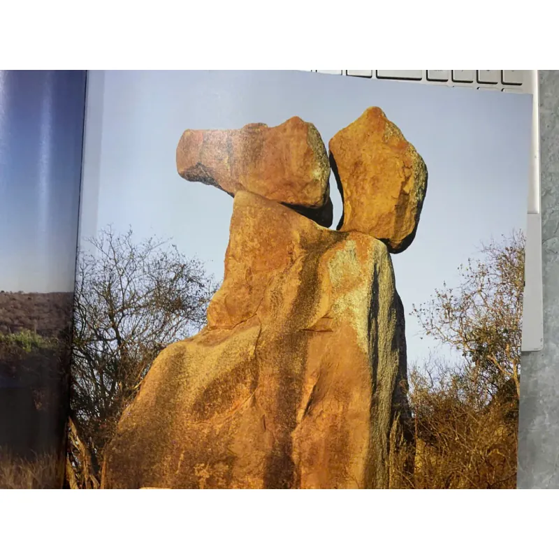 THE NEW SAFARI: DESIGN, DECOR, DETAIL 752181