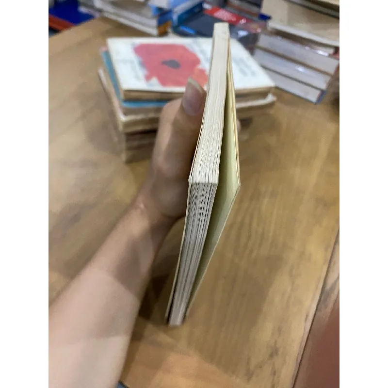 Bông Hồng Dâng Cha Mẹ - Bảo Cường 355397