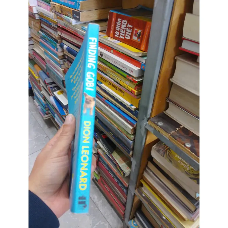 sách Finding GOBI - The true story of one little dogs big journey (B1) 703621