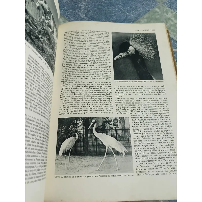 La vie des animaux - Larousse 590350