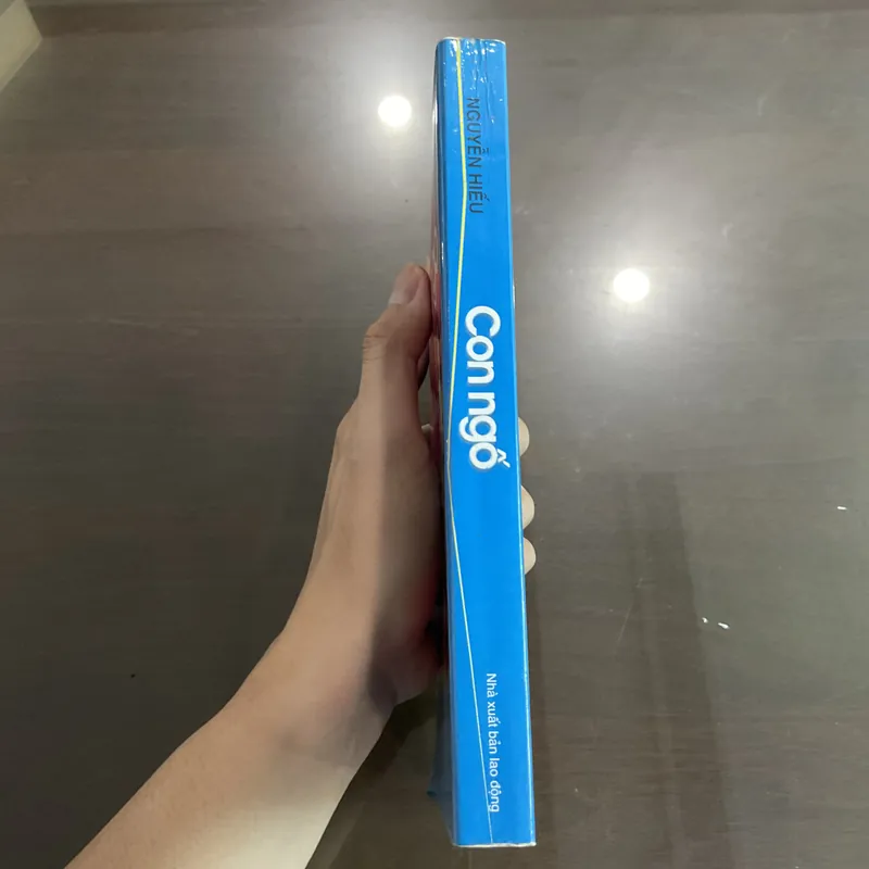 [HIÊN THỰC] Con ngố - Nguyễn Hiếu 720447