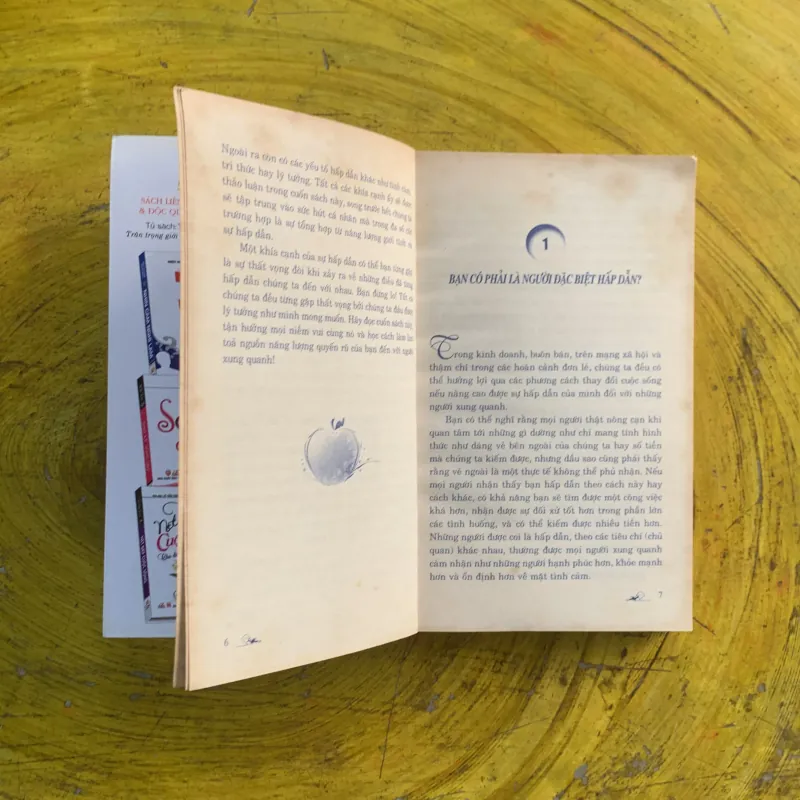 NHỮNG BÍ MẬT CỦA TRƯỜNG HẤP DẪN CÁ NHÂN - KEVIN HOGAN & MARY LEE LABAY 991240