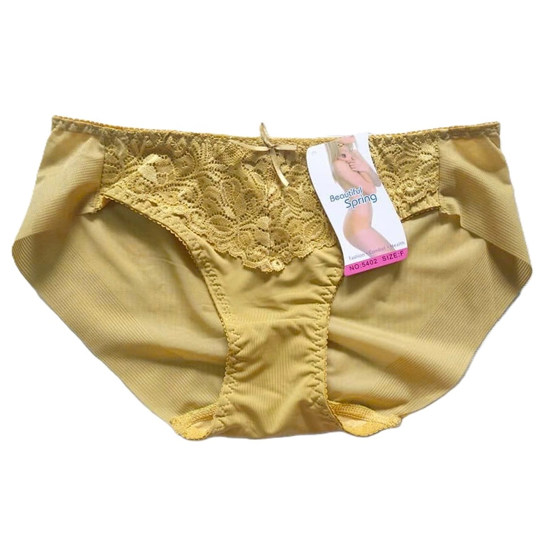 Quần lót thun lạnh phối ren & lưới, lưng vừa, hàng loại 1, size 45-65kg 445721