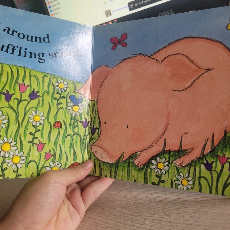 Hello Little Piglet  Dawn Apperley 531327