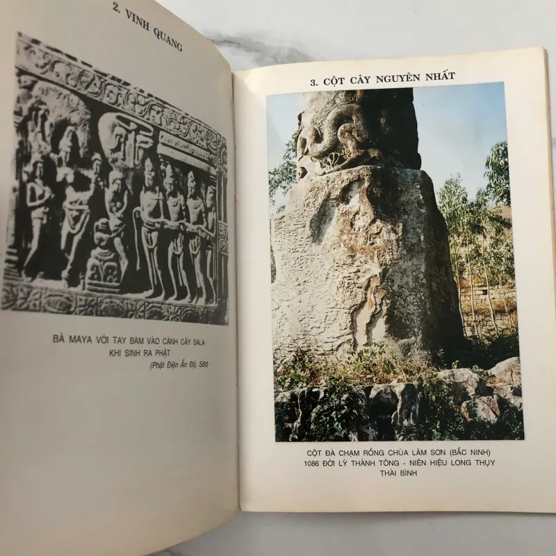 Trầu Cau Việt Điện Thư - Nguyễn Ngọc Chương - Nghiên cứu Văn hóa 706070