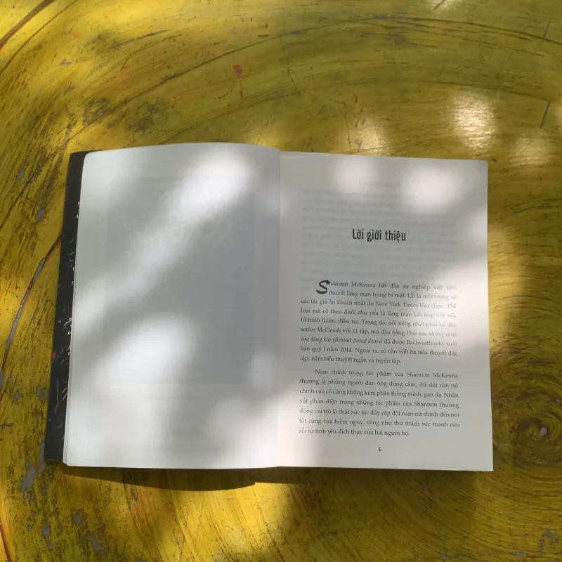 ĐỨNG TRONG BÓNG TỐI - SHANNON MCKENNA 937332