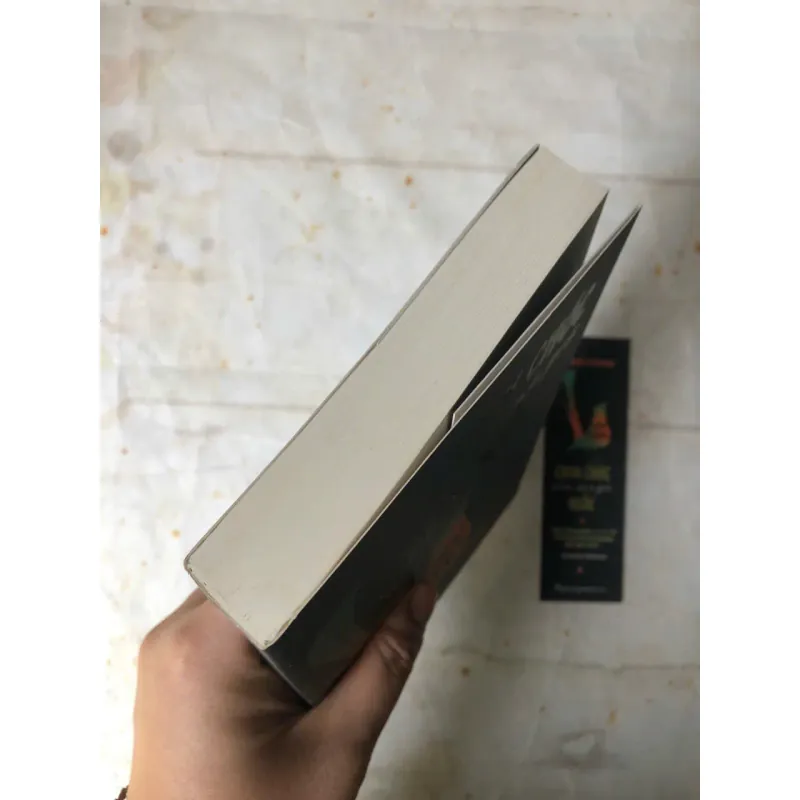 Chim Chóc Chưa Bao Giờ Ngốc | Jennifer Ackerman 800730