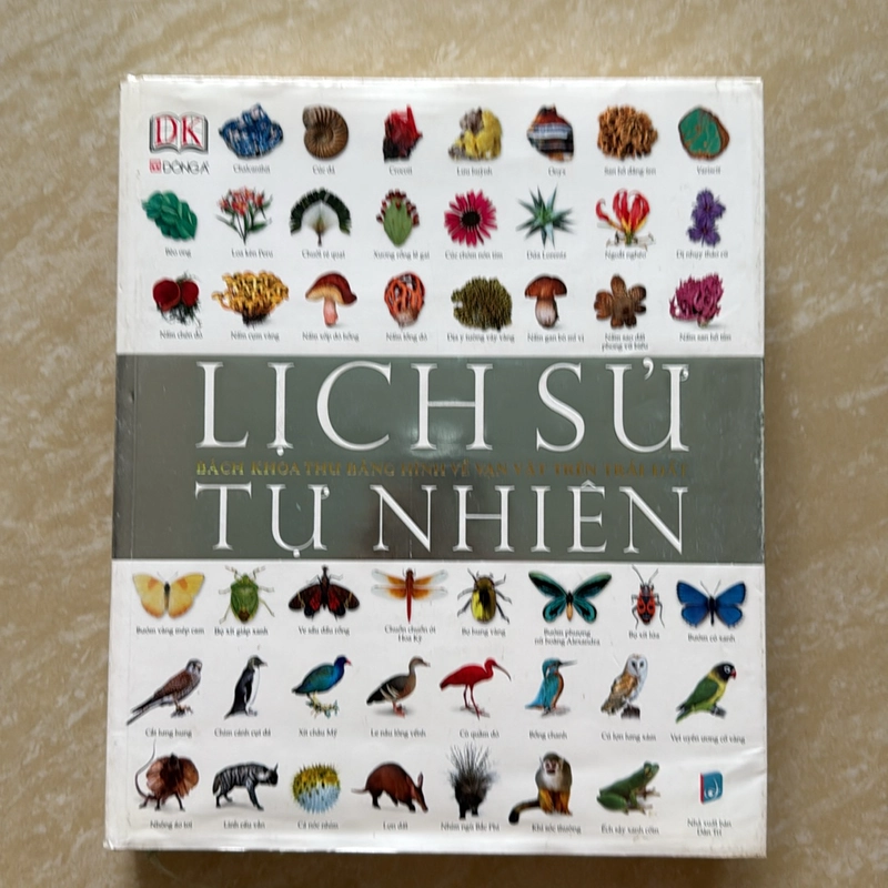 LỊCH SỬ TỰ NHIÊN 522909