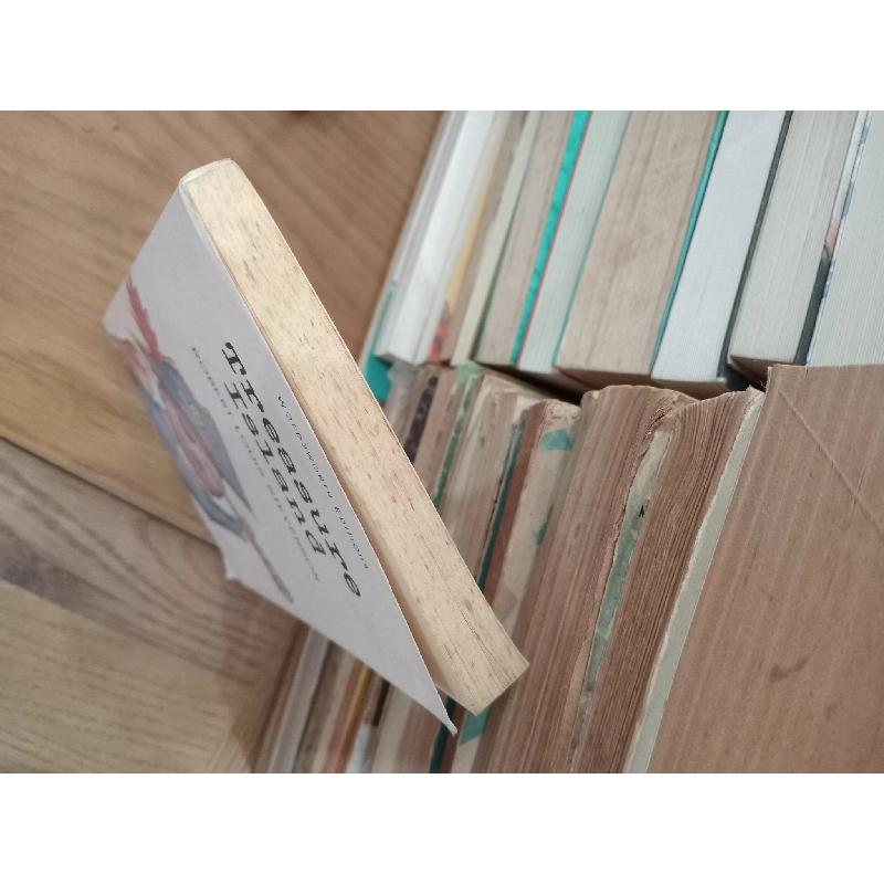 Treasure Island - Robert Louis Stevenson 506628