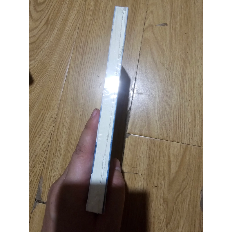 Kỳ quan thế giới thứ 8 - chuyện tình ở biển
70k (bìa 140k) 464529