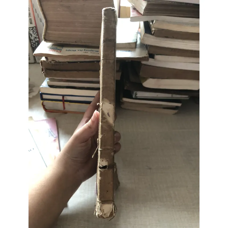 Phan Đình Phùng-Nhà lãnh đạo 10 năm kháng chiến ở Nghệ Tĩnh 975913