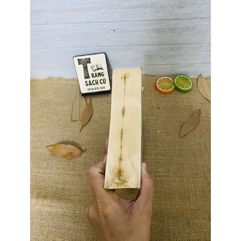 Gió mang những ký ức thổi thành những cánh hoa 1012901