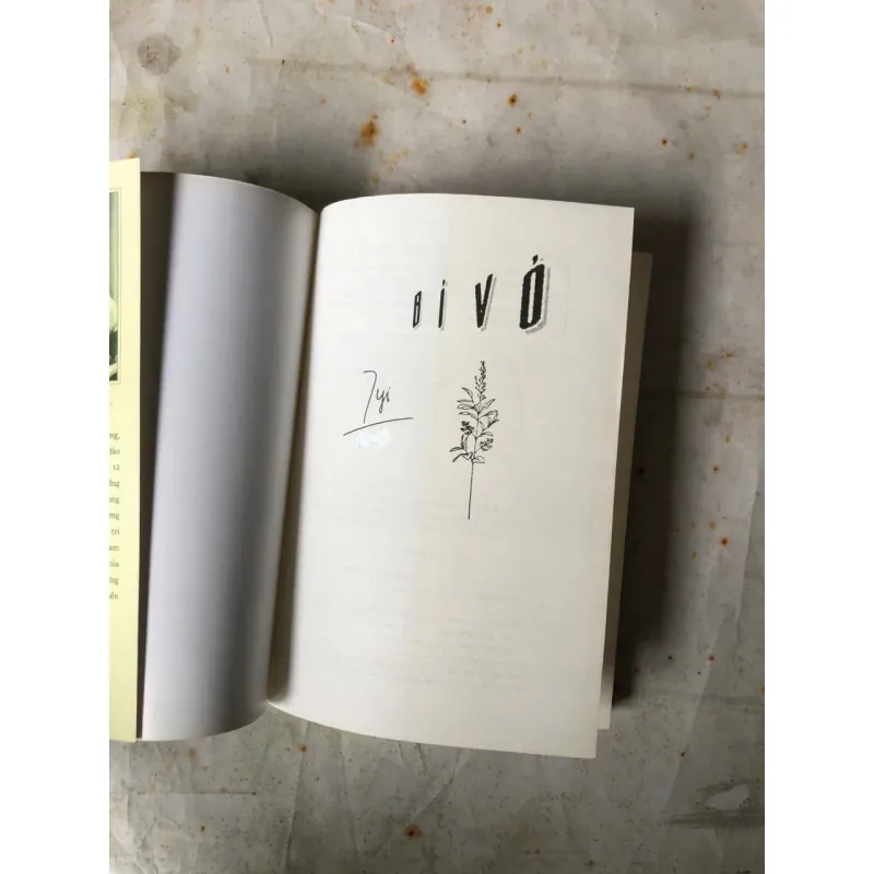 Sách đã qua sử dụng Bỉ Vỏ - Nguyên Hồng 778402