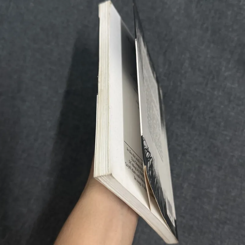 Yêu trong bóng tối - Tanizaki Junichiro 763230