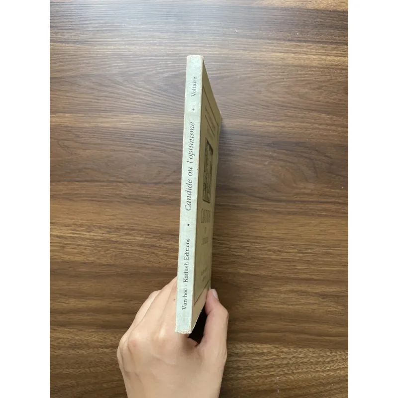 Candide Ou L'optimisme - Voltaire (Candide Chàng Ngây Thơ) 961499