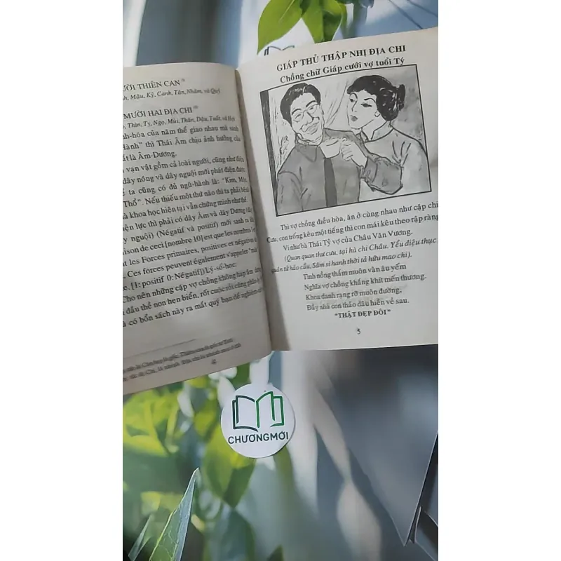 Cao Ly Đầu Hình 928569