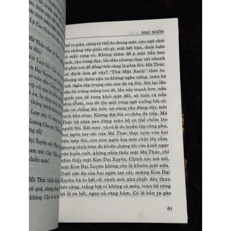 Rừng xanh lá đỏ 996357