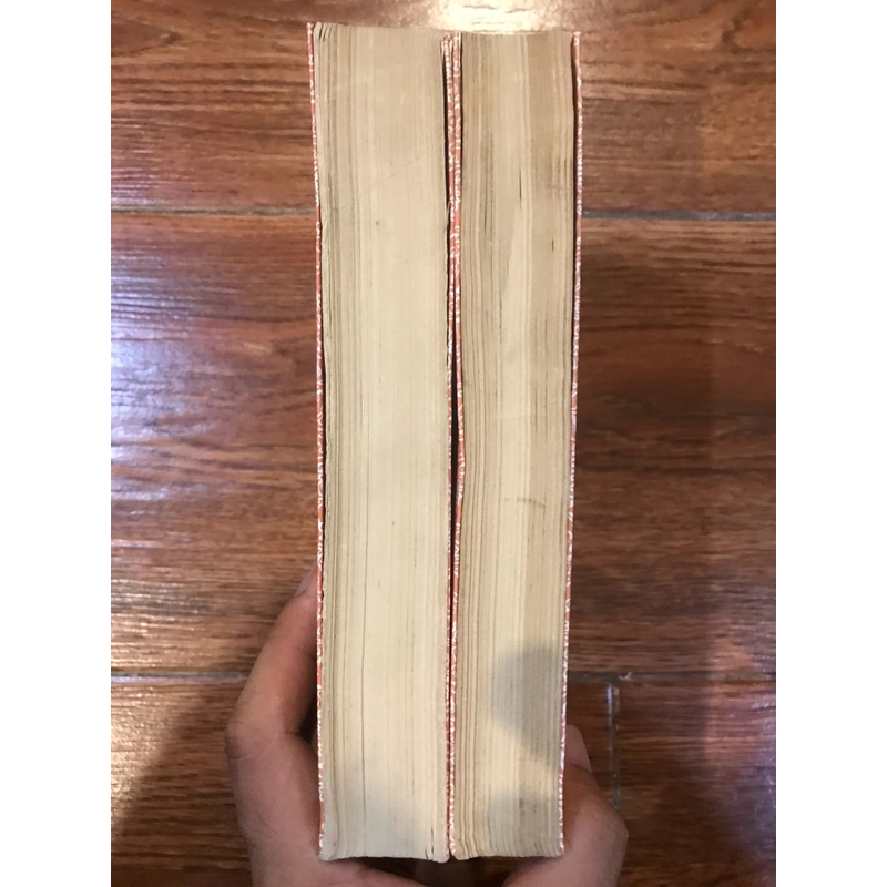 Phi Long Diễn Nghĩa full bộ 2 tập - Trương Minh Chánh 497298