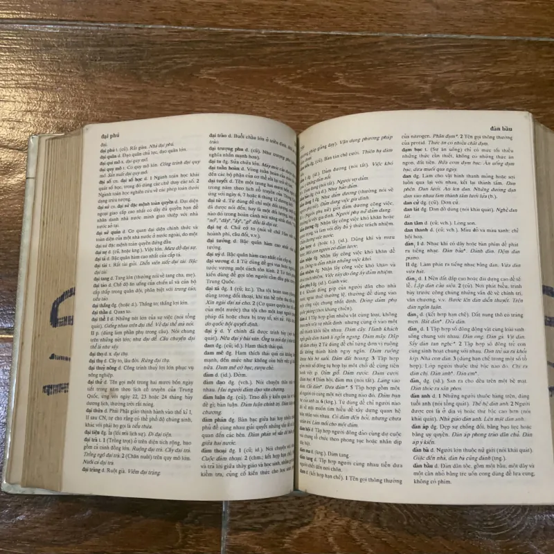 Từ điển tiếng việt 1992 (11) 1021289