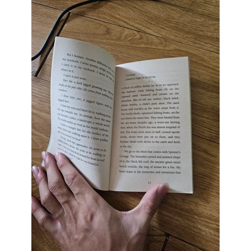 Island from the winner of the guardian children's fiction prize 
 739560