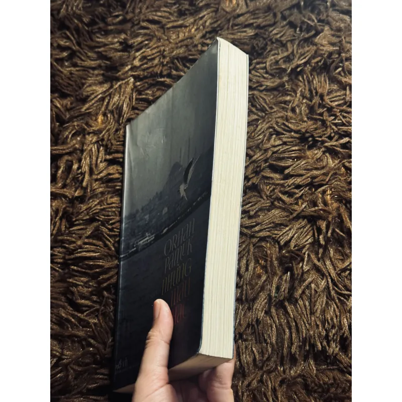 Những màu khác 1022212