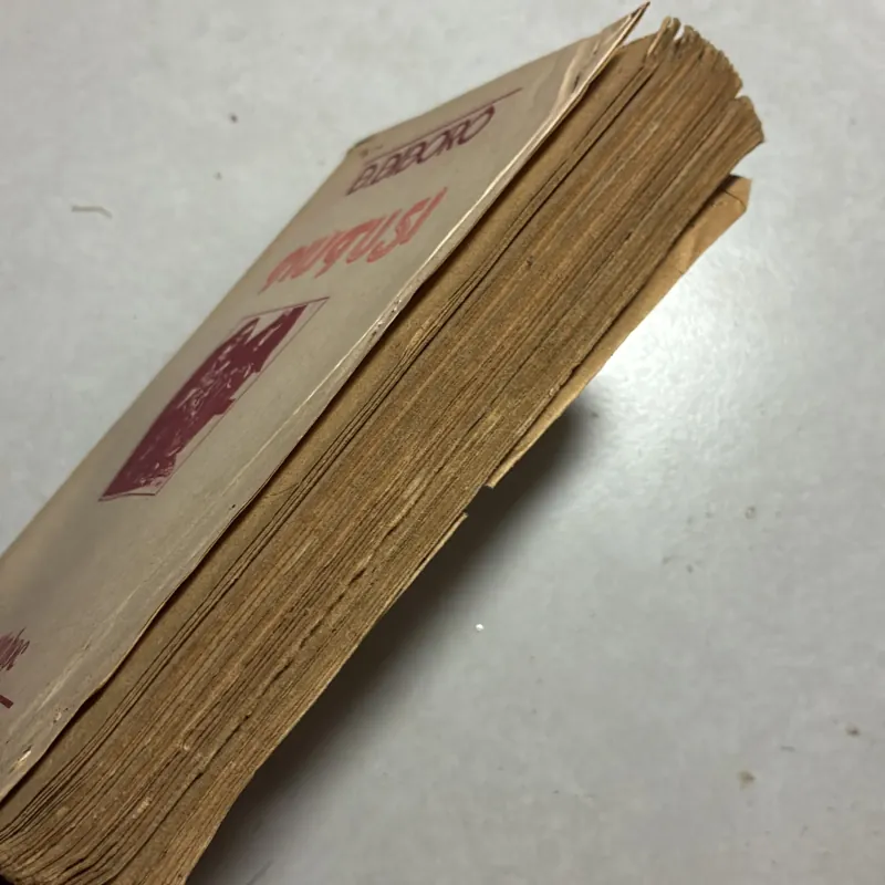 Nữ tu sĩ - Đ.điđơrô 797595