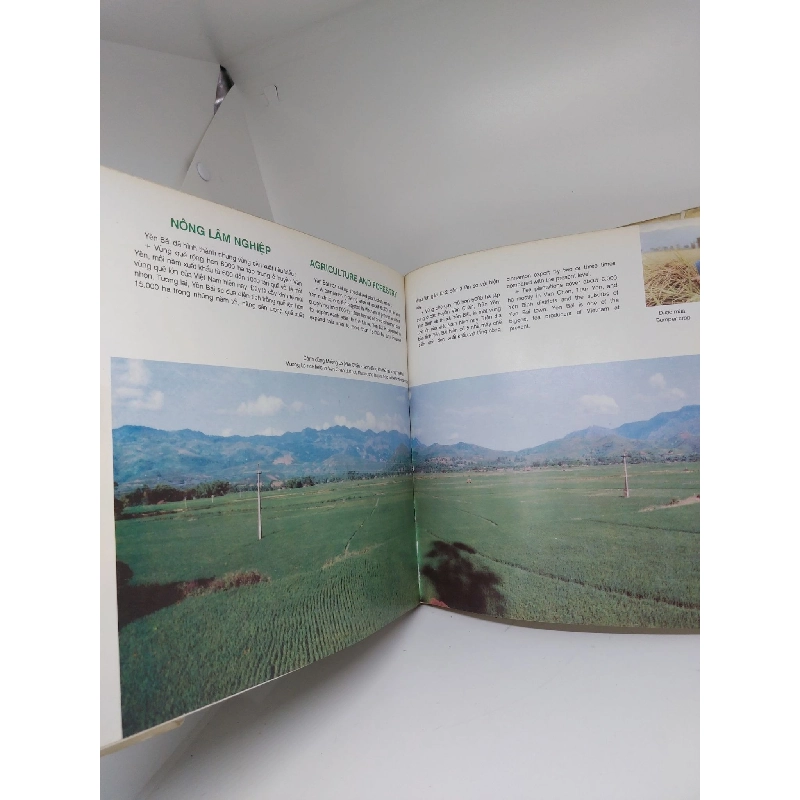 Yên Bái, bìa cứng, mới 70% (rách trang) HCM.ANTQ1409 911935