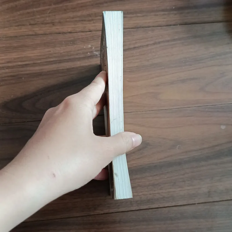 Mãi mãi tuổi 20  759482