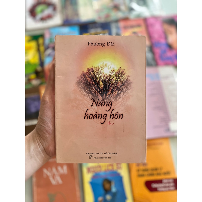 Nắng Hoàng Hôn _ Phương Đài 275253