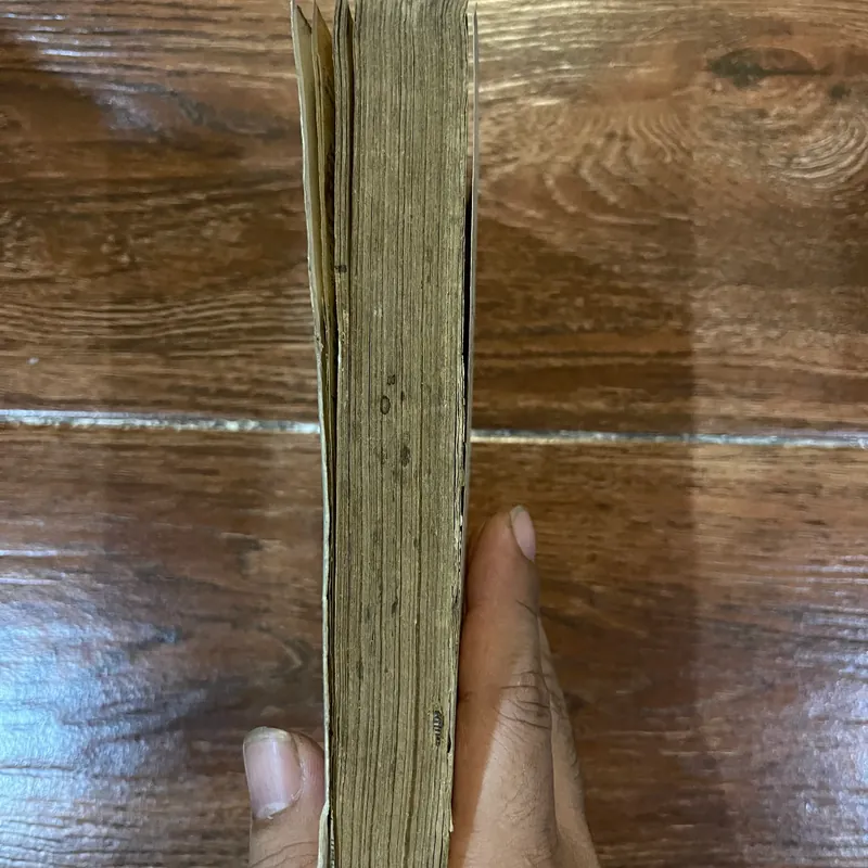 Điều trị điện trên huyệt (k3) 563910