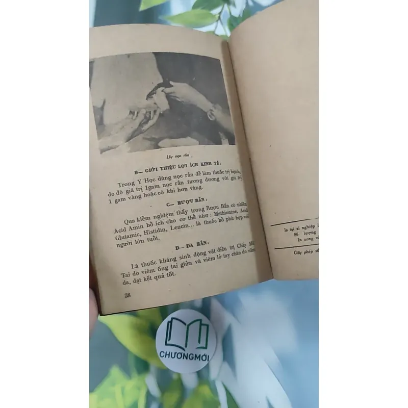 [XƯA] Cấp Cứu Và Điều Trị: Chết Đuối, Điện Giật, Rắn Độc Cắn (1982) - BS. Nguyễn Đình Thiêng - BS. Trần Văn Dược 776013