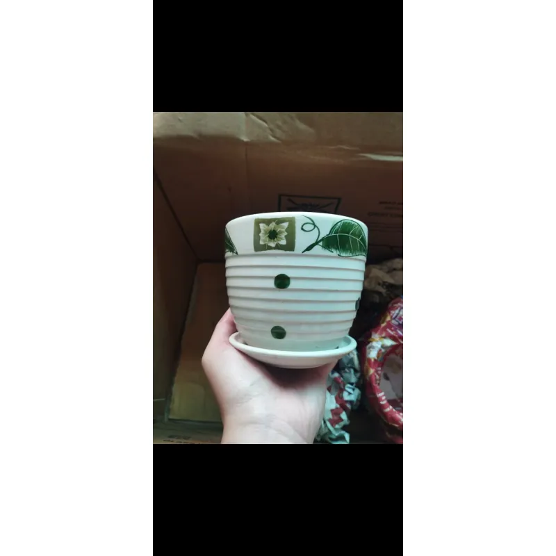 Chậu trồng sen đá 753586