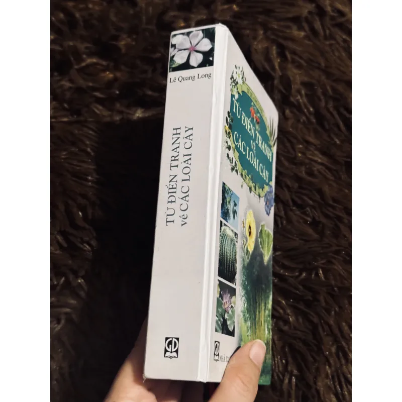 Từ điển tranh về các loài cây 932519