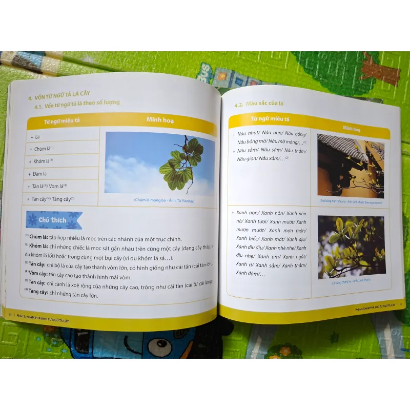 Khám phá thế giới thực vật & Chinh phục văn miêu tả cây cối (bộ 2 tập) 782448