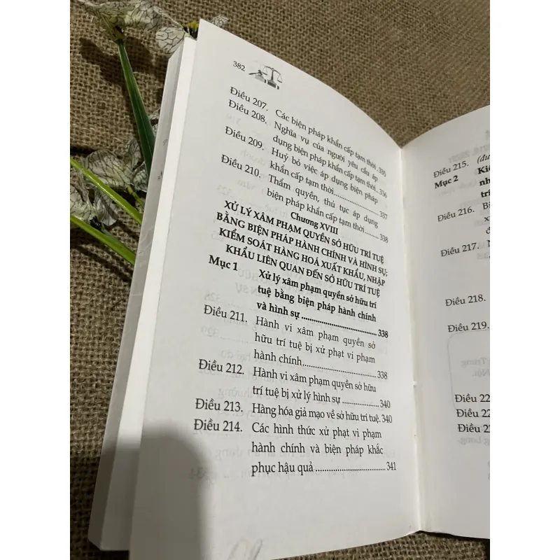  luật  Sở hữu trí tuệ -340 trang  797695