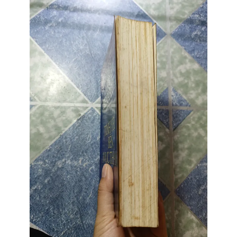 Tình yêu vực thẳm - Erich Maria Remarque 975137