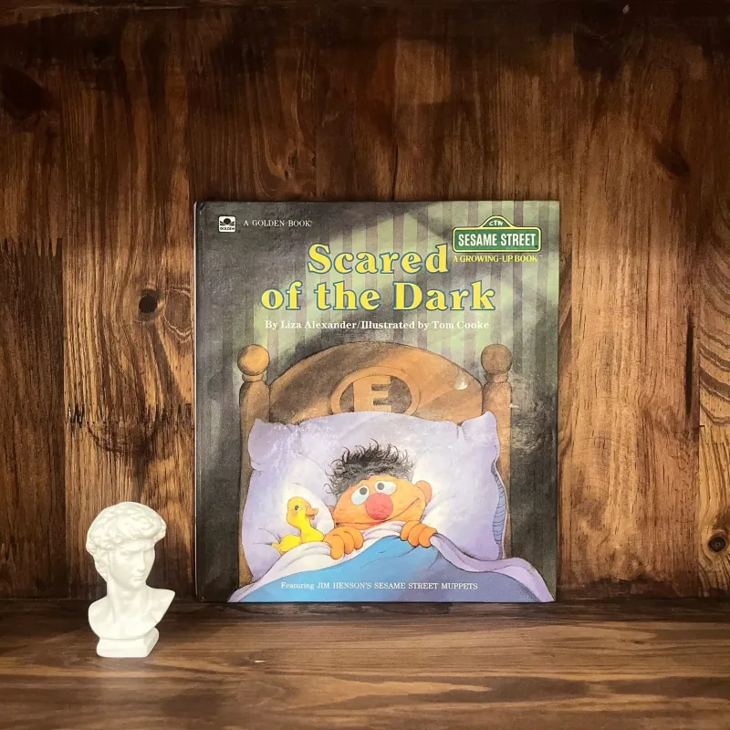 ✨𝑺𝒄𝒂𝒓𝒆𝒅 𝒐𝒇 𝒕𝒉𝒆 𝑫𝒂𝒓𝒌✨ 738115