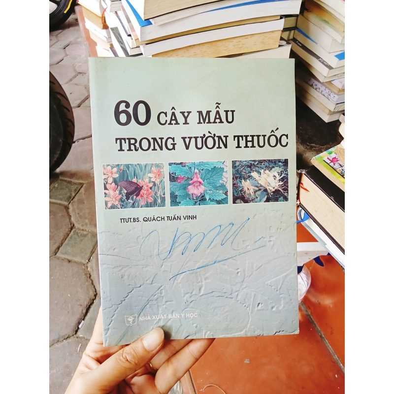 60 cây mẫu trong vườn  448036