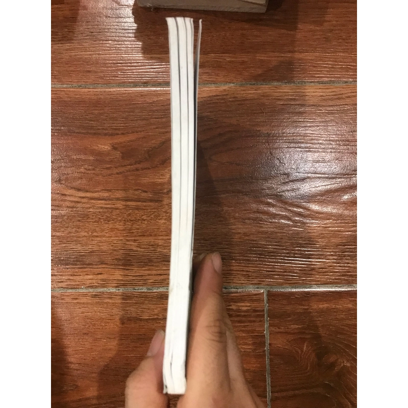 Luật tục người K’Ho Lạch (9) 466071