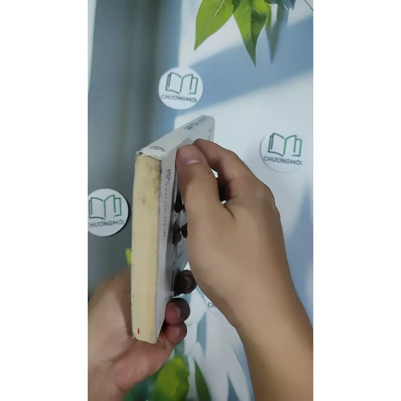 Tôi là Bêtô - Nguyễn Nhật Ánh 798505