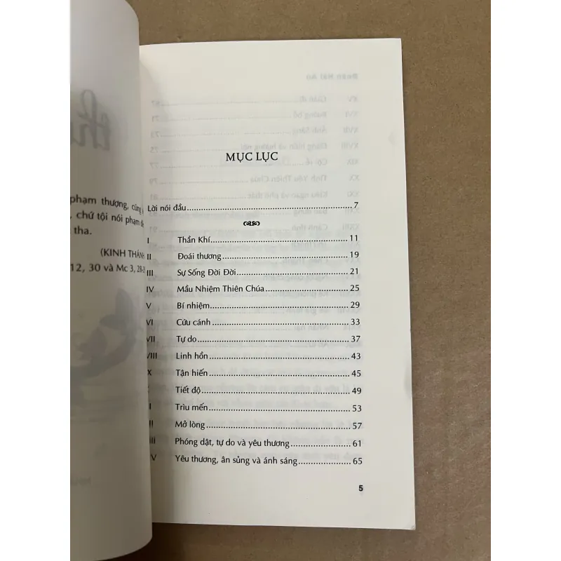 Thương Ca Đoàn Hải An 1022603