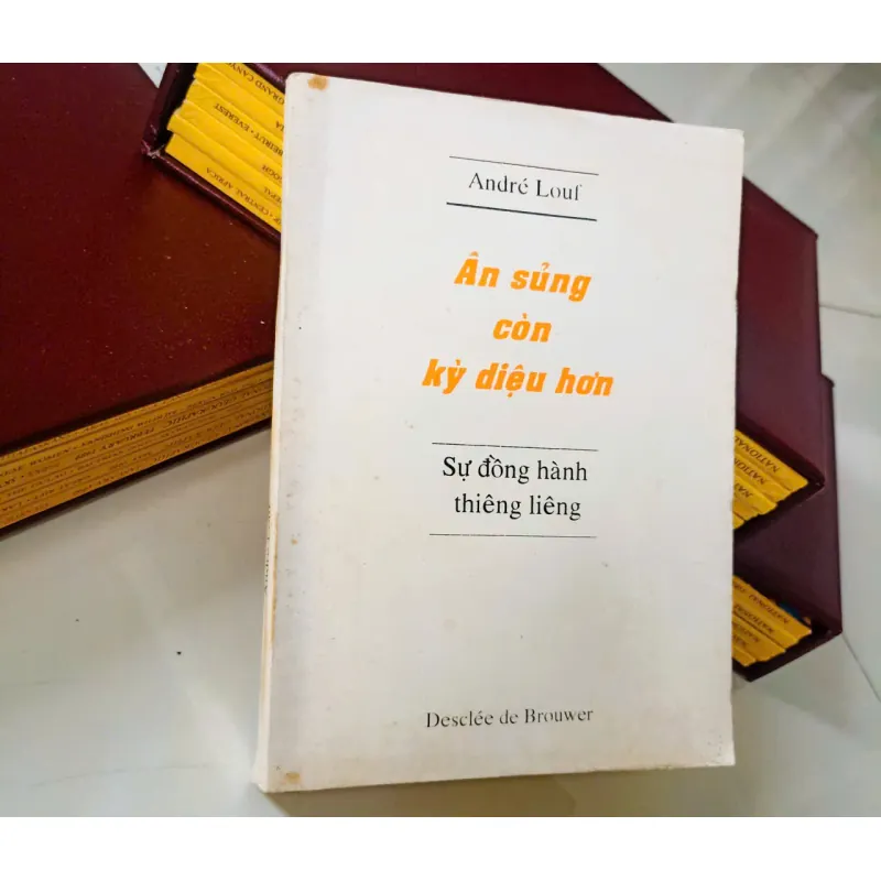 Ân sủng còn kỳ diệu hơn 🌻 592285